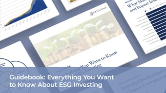 Guidebook: Everything You Want to Know About ESG Investing