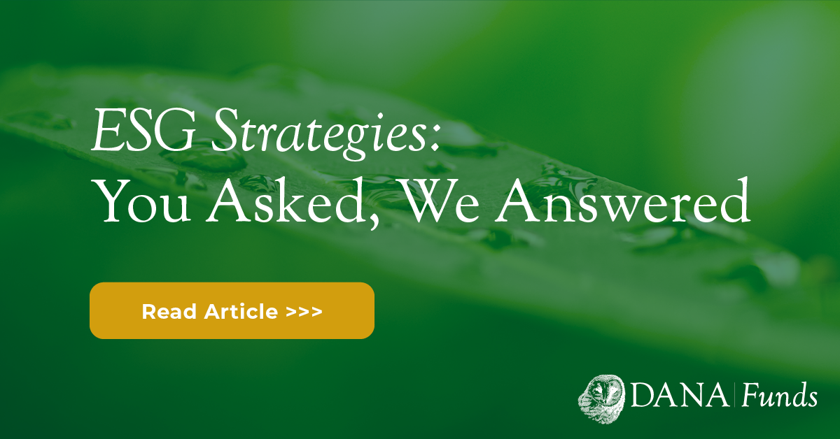 ESG Strategies: You Asked, We Answered